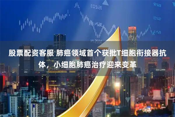 股票配资客服 肺癌领域首个获批T细胞衔接器抗体，小细胞肺癌治疗迎来变革