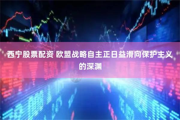 西宁股票配资 欧盟战略自主正日益滑向保护主义的深渊