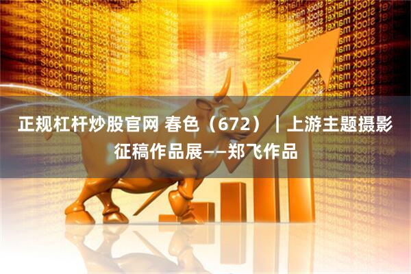 正规杠杆炒股官网 春色（672）｜上游主题摄影征稿作品展——郑飞作品