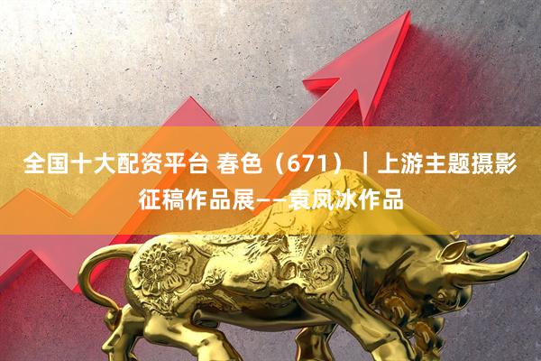 全国十大配资平台 春色（671）｜上游主题摄影征稿作品展——袁凤冰作品